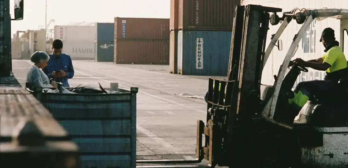 Forklift lifting container at shipping yard with workers inspecting—Freight Delivery service at Grey Cap ensuring logistics precision.