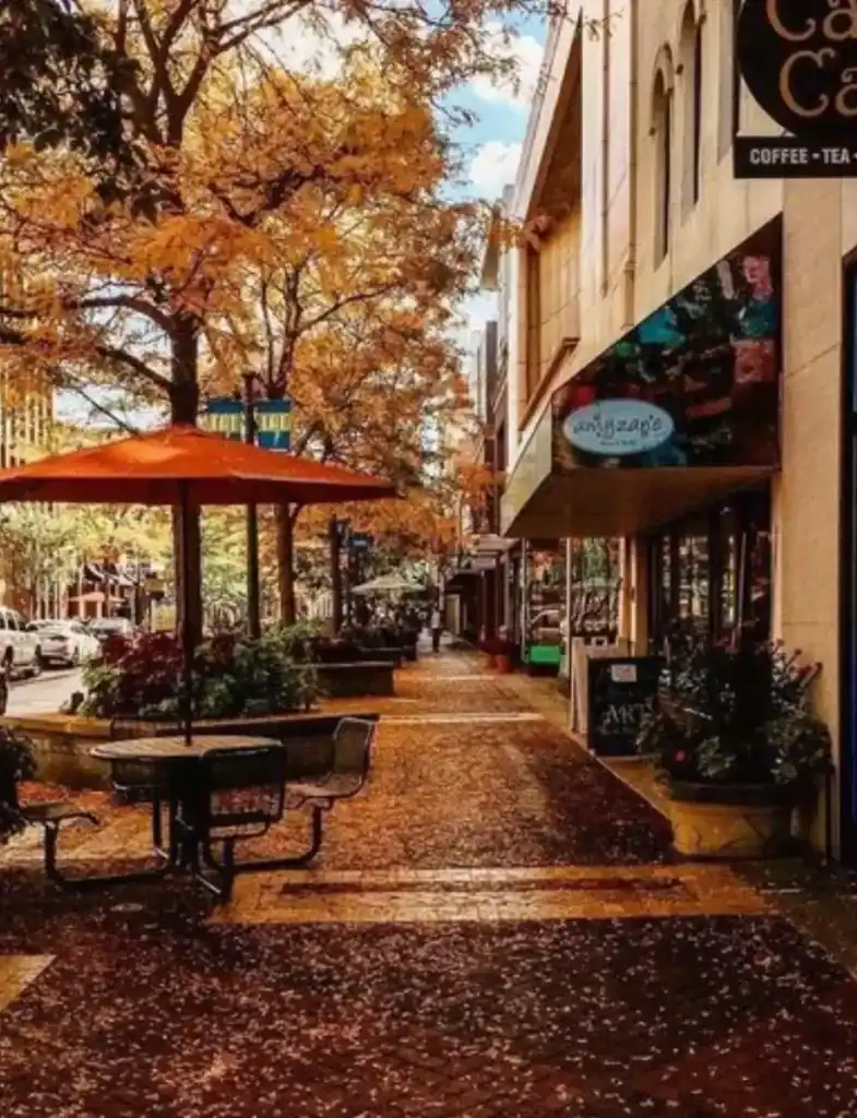 Autumn streetscape with sidewalk café, orange umbrella and fallen leaves—Grey Cap service location in Kalamazoo.